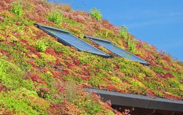 Marchamley living roof systems