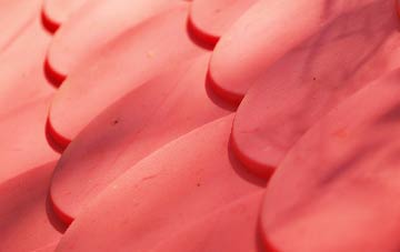 Marchamley plastic roof costs